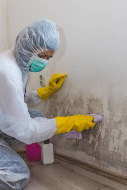 Best Comprehensive Air Testing for Mold Contaminants  in Progress, PA