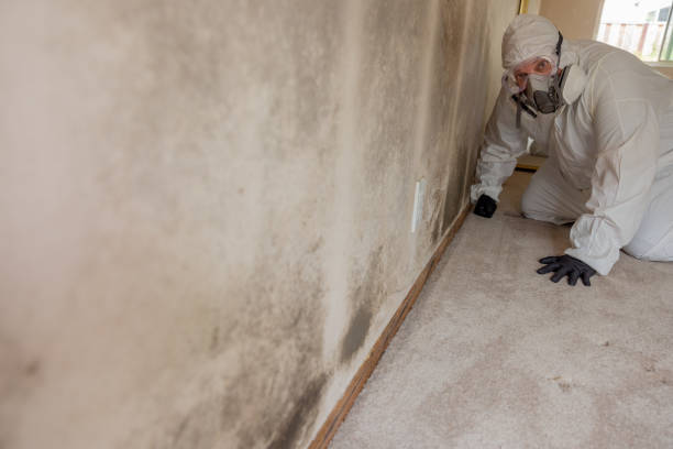 Best Indoor Air Quality Assessment  in Progress, PA