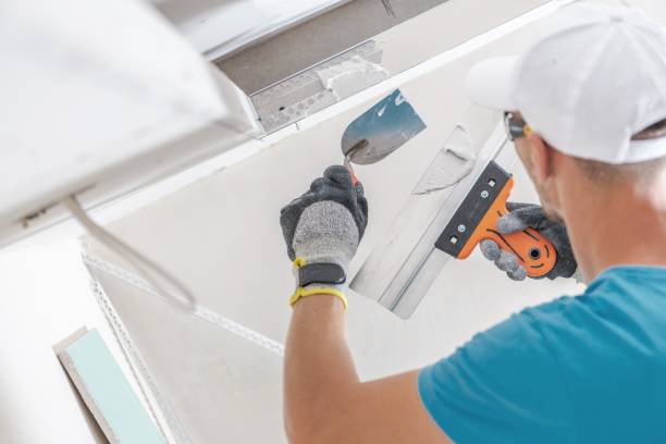 Best Environmental Consulting for Mold Prevention  in Progress, PA
